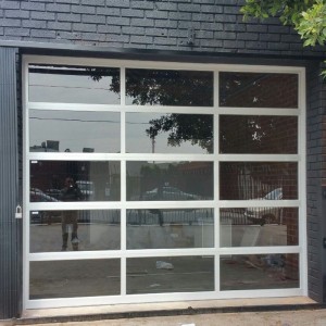 Contemporary Full View Aluminum Garage Door with Motor